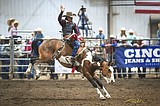 High school rodeo: Wells, MeGill are state champions