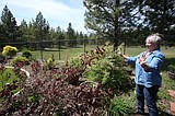 Coeur d'Alene Garden Club's 2025 Garden Tour will be June 29