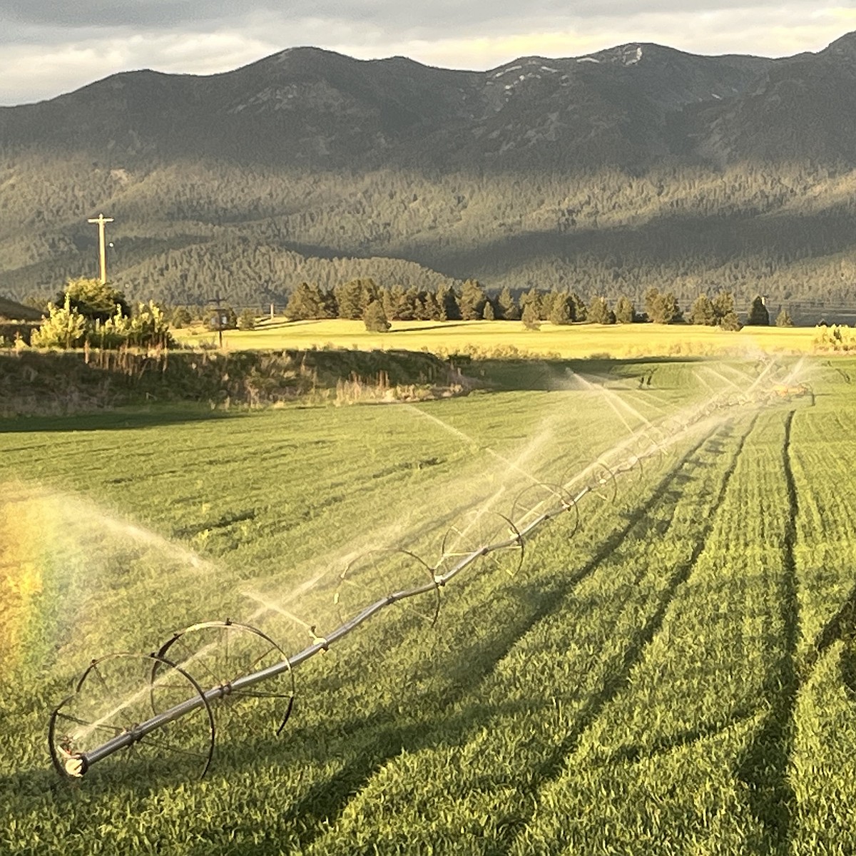 Feds approve largest fee increase for Flathead Indian Irrigation Project in recent years