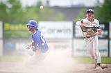 Loggers topple Twins