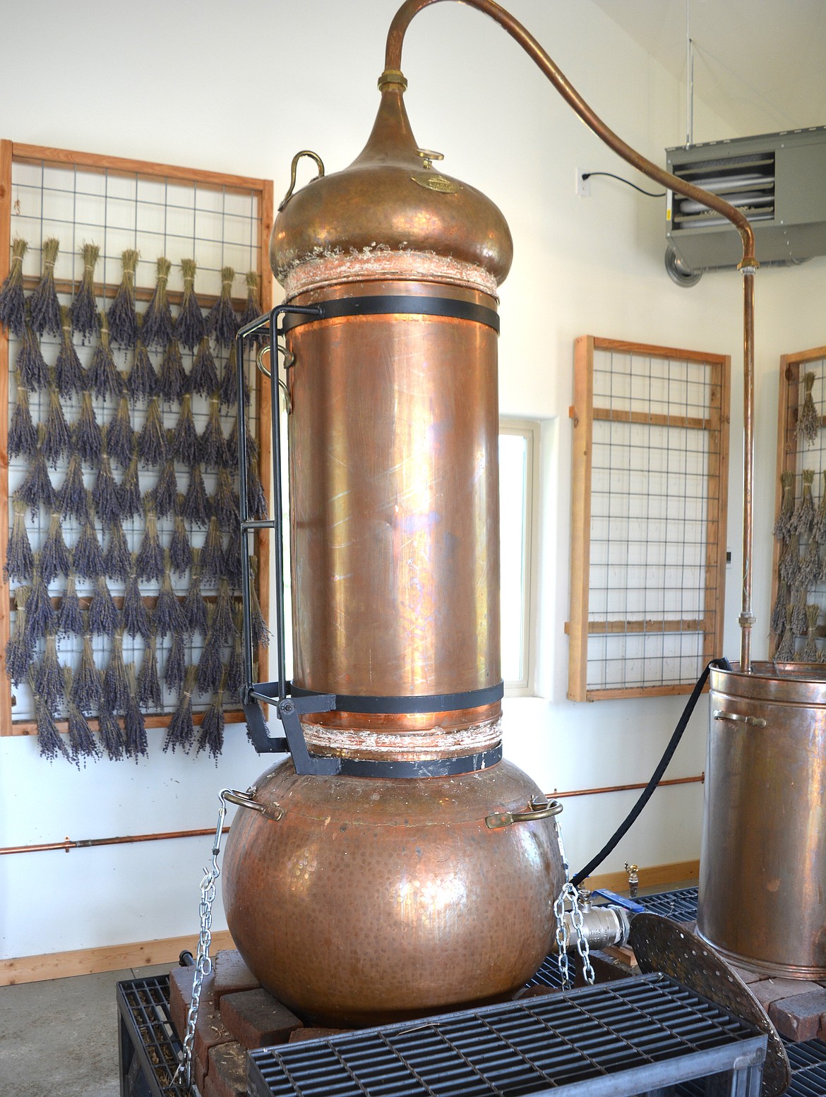 The distillation vat used at Blooming Fields Lavender Farm in Athol to create essential oils.