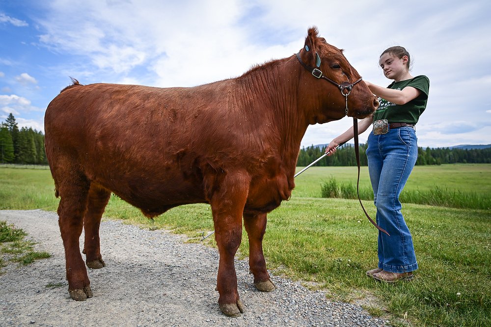 0617_LOC_DIL_Brist_family_FFA_4H-8.jpg.1