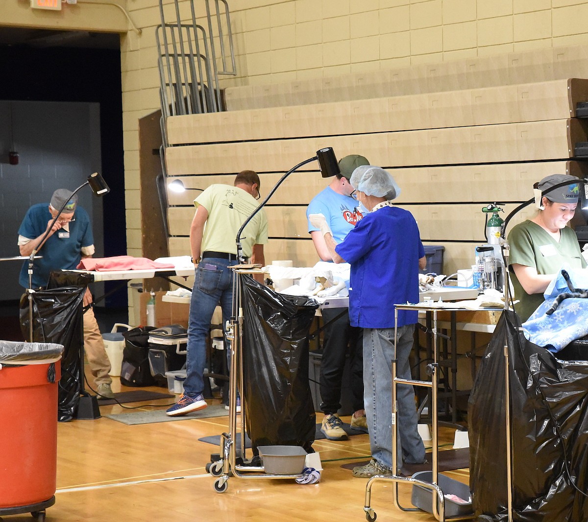 Spay, neuter clinic in Libby set for June 20-21
