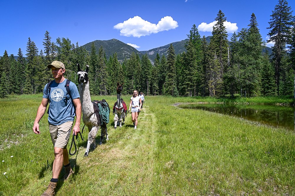 0629_LOC_DIL_Great_Northern_Llama_Co_5.j
