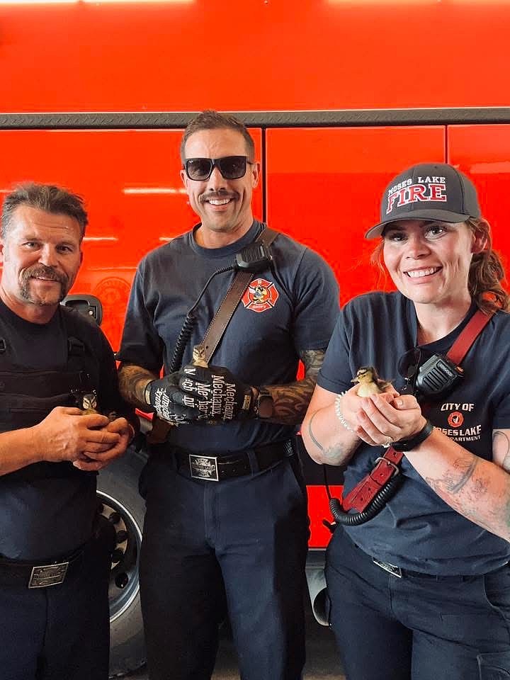 From left, Moses Lake Fire Department firefighter Josh Bollinger, Capt. Schrade Rouse and Lt. Lynn Dodd hold the ducklings they rescued from the storm drain on Wednesday.