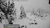 Summer solstice snow storm blankets Logan Pass