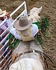 Dedicated to the art of bareback riding