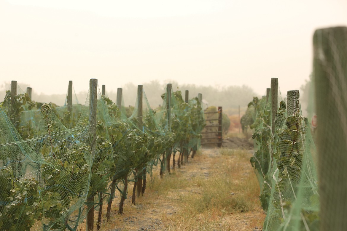 Since outdoor conditions, like smoky days, can’t be regulated, exposure by AG workers to adverse conditions is regulated.
