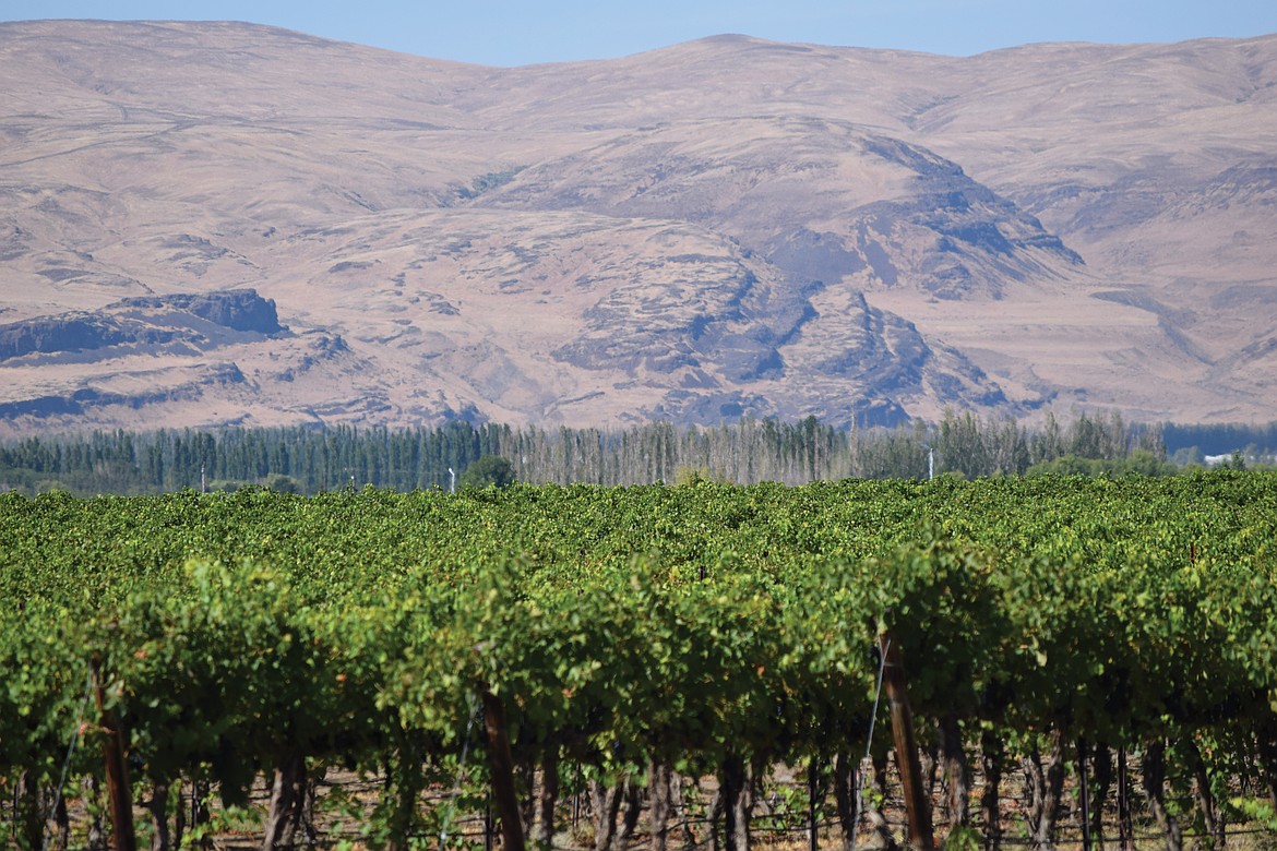 There are precautions AG workers and employees can take to reduce risk from heat and smoke.
