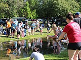 Fishing for fun in Rathdrum