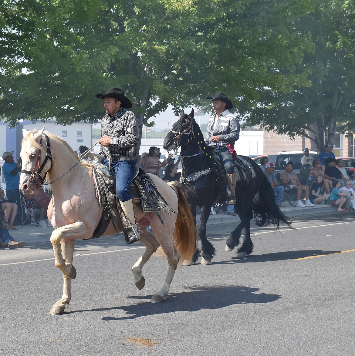 The Dancing Horses caper their way down Camelia Street in a previous Royal City Summerfest parade. The horses will return for this year’s event, which is July 11-12.