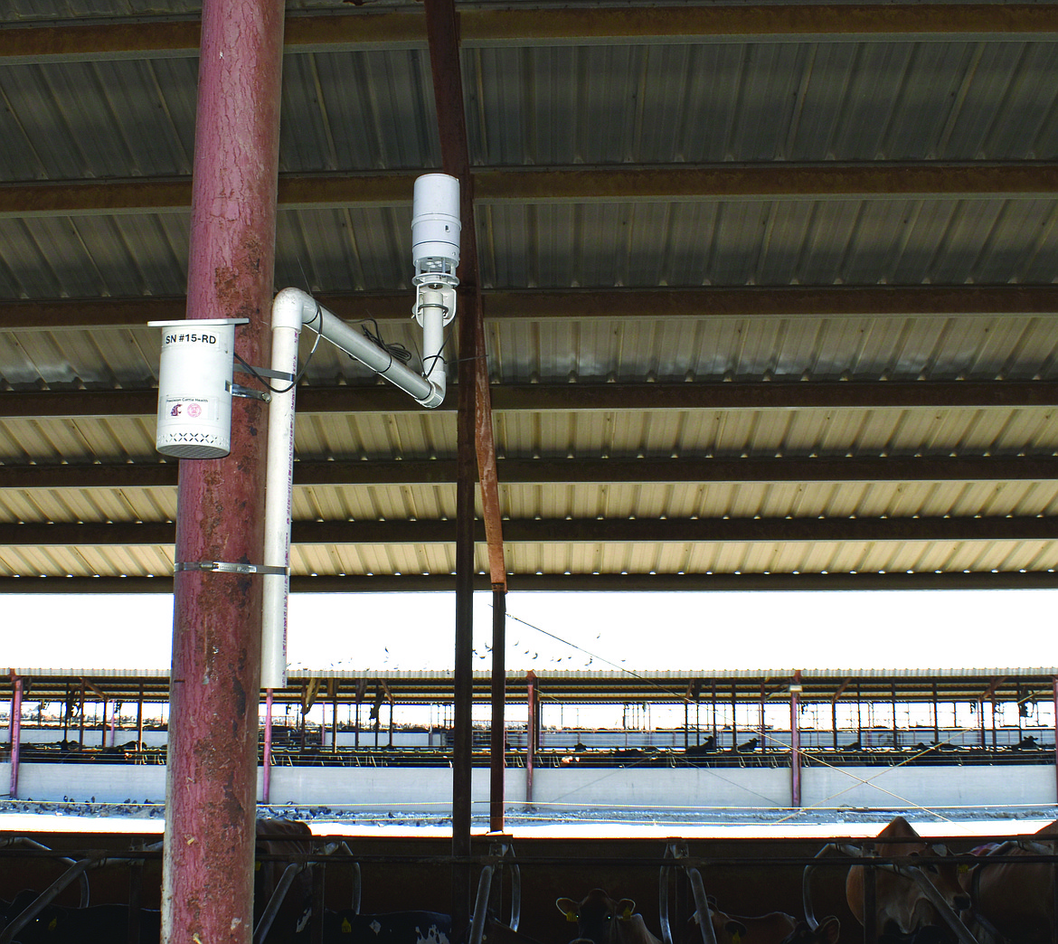About two dozen of these sensors are mounted in cattle barns and other greenhouse gas-producing areas of Royal Dairy to measure carbon dioxide, methane, carbon ammonia and other gases.