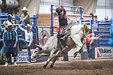For young bullrider, it’s been a life of eights