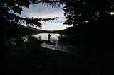 Opinion: 16 miles for two fish
