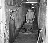 Yesterdays:The forgotten Flood of '75