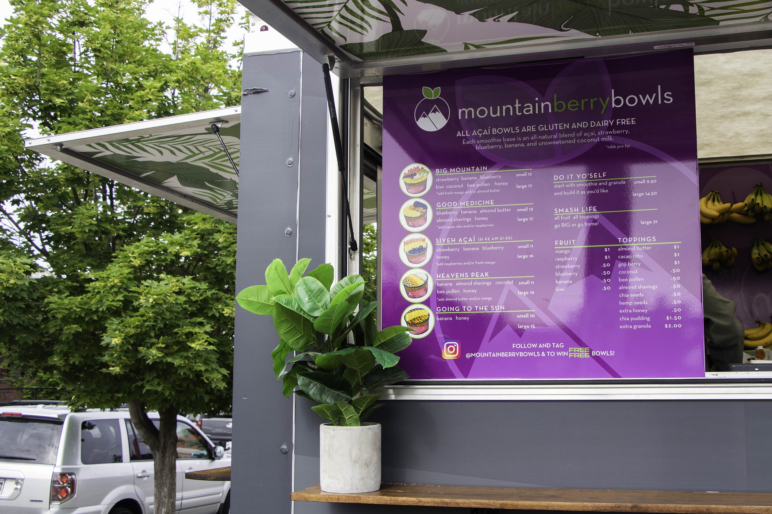 MountainBerryBowls_Heston_1_of_7.jpg.259