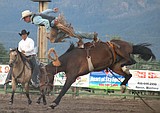 Local riders fare well at Mission Mountain Rodeo