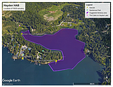 Harmful algal bloom advisory issued for Hayden Lake
