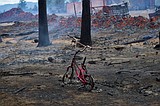 Clover Fire burns 30 acres near Naples