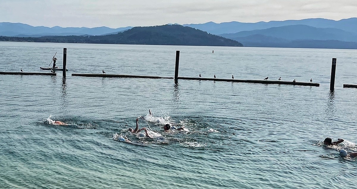 Sandpoint Sharks to host open water swim July 31