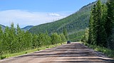 North Fork Road partially treated for dust