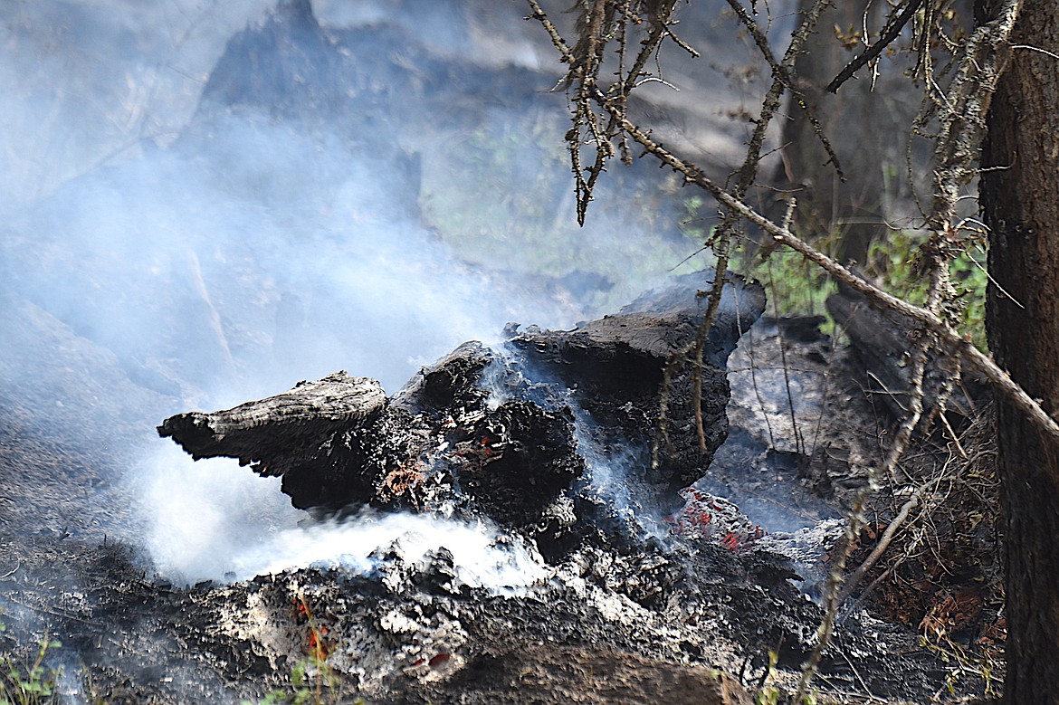 A charred log smokes at the site of the Wolf 11 Fire Monday, July 14, 2025. (Scott Shindledecker/The Western News)