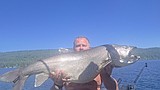 Payette Lake produces record lake