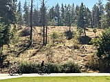 Fuel mitigation work wraps on Tubbs Hill