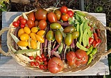 From Wilt to Wow: 10 great garden tips you need now