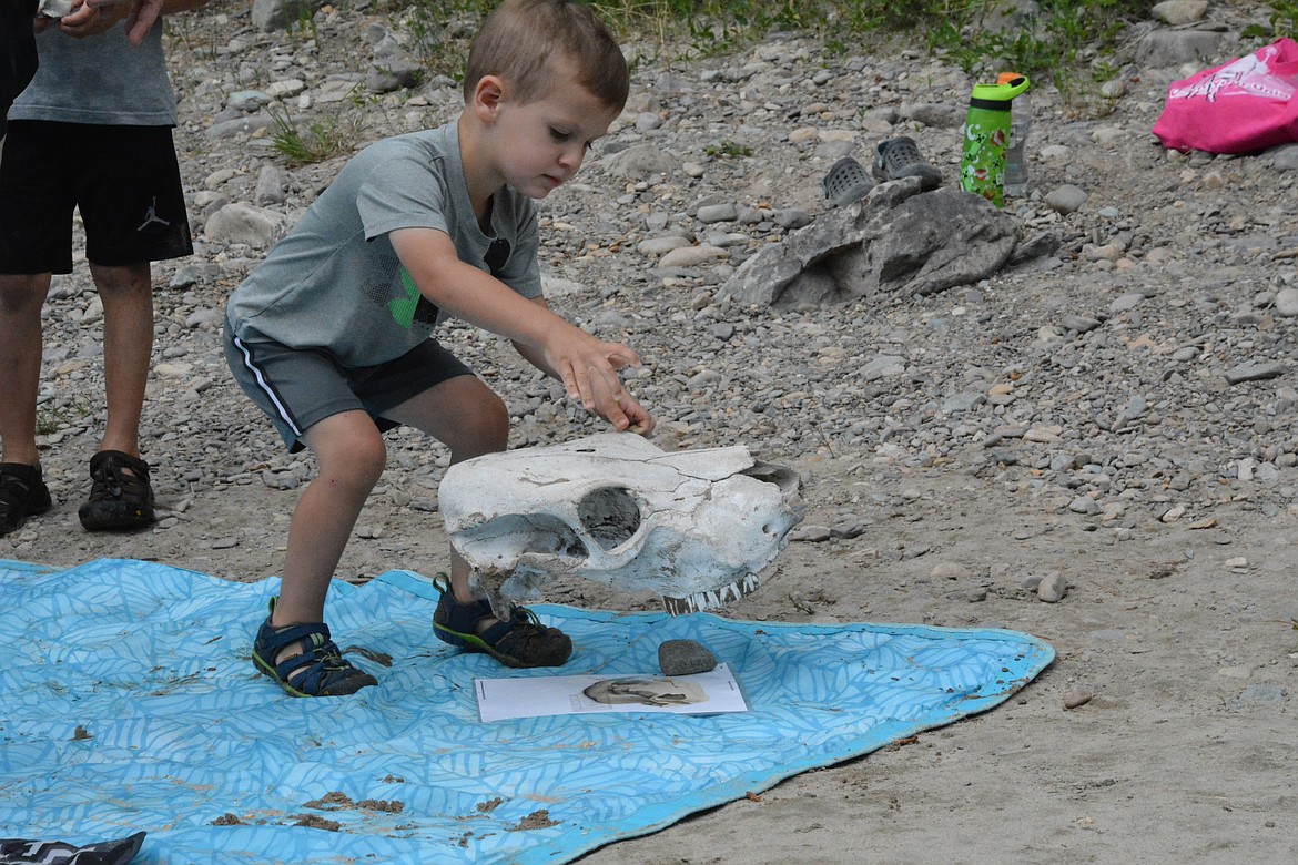After each digger discovered a bone, they were tasked with bringing it back to the beach blanket and working to identify what they found. Though leaders and participants couldn't agree on how long the digs have been going on, it's anyone's guess how many years, or even how many bones were dug up that day.  (Mineral Independent/Amy Quinlivan)