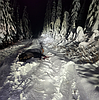 Kellogg man convicted in Kootenai County poaching case