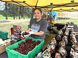 Weather poses challenges for cherry growers