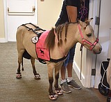 BASIN EVENTS: July 25-Aug. 2