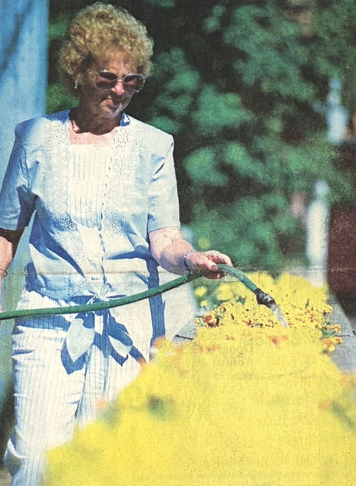 Fern Johnston waters flowers at the downtown park, then known as Sherman Square, in 1995.