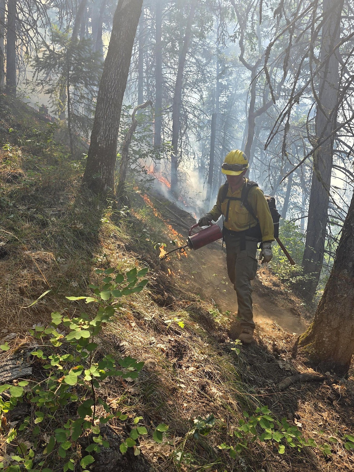 Fire personnel work on conducting fire operations near Centerville Highway, Wednesday. Using drip torches, they ignited areas with unburned fuels near established fire lines. As the fire spreads up the slope, it consumes much of the fuel and after the burned area is extinguished, there will be a minimal chance of it reigniting and crossing the fire line.