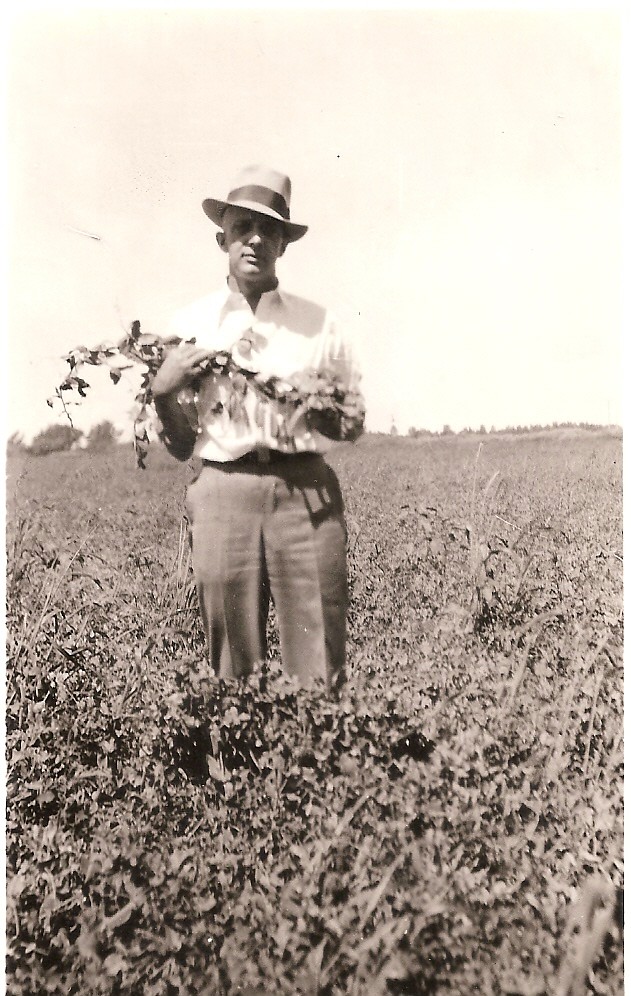 Spokane Seed owner Curt Whaley, with the crop that led the company in an entirely different direction.