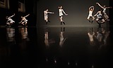 Choreographing Cranes: UM double major blends biology with ballet