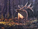 Meet artist Tom Mostad at Phillips Gallery