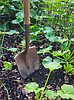 Dig into the no-dig method of gardening for better soil