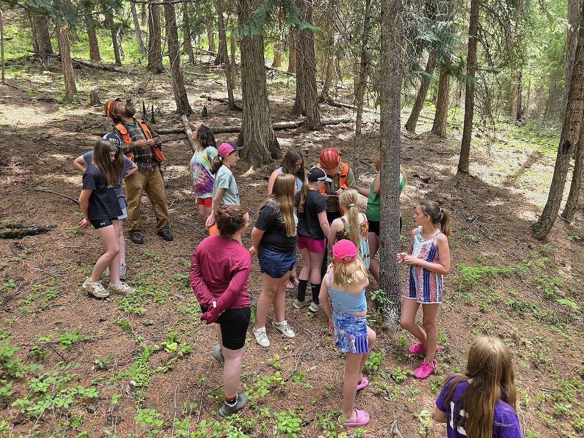 Several members of the Kootenai Outdoor Adventure Program learned about forestry during the summer session. (Photos by Joe Taylor and Bill Moe)