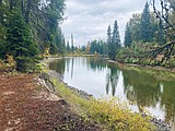 Thinking of working near a stream? Talk to the experts first