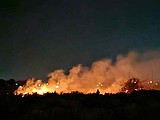 MLFD puts out small brush fire Saturday