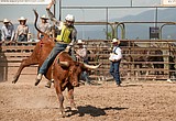 Pioneer Days temporarily drops rodeo