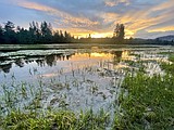 Rinse and repeat: Northwest Montana’s summer soaked in rain