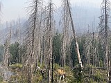 Lightning Creek Fire continues to grow