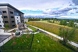Taxation is ruination: A warning for Montana