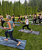 Barre at the Winery CASA benefit Wednesday