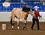 Rathdrum woman, horse win world title