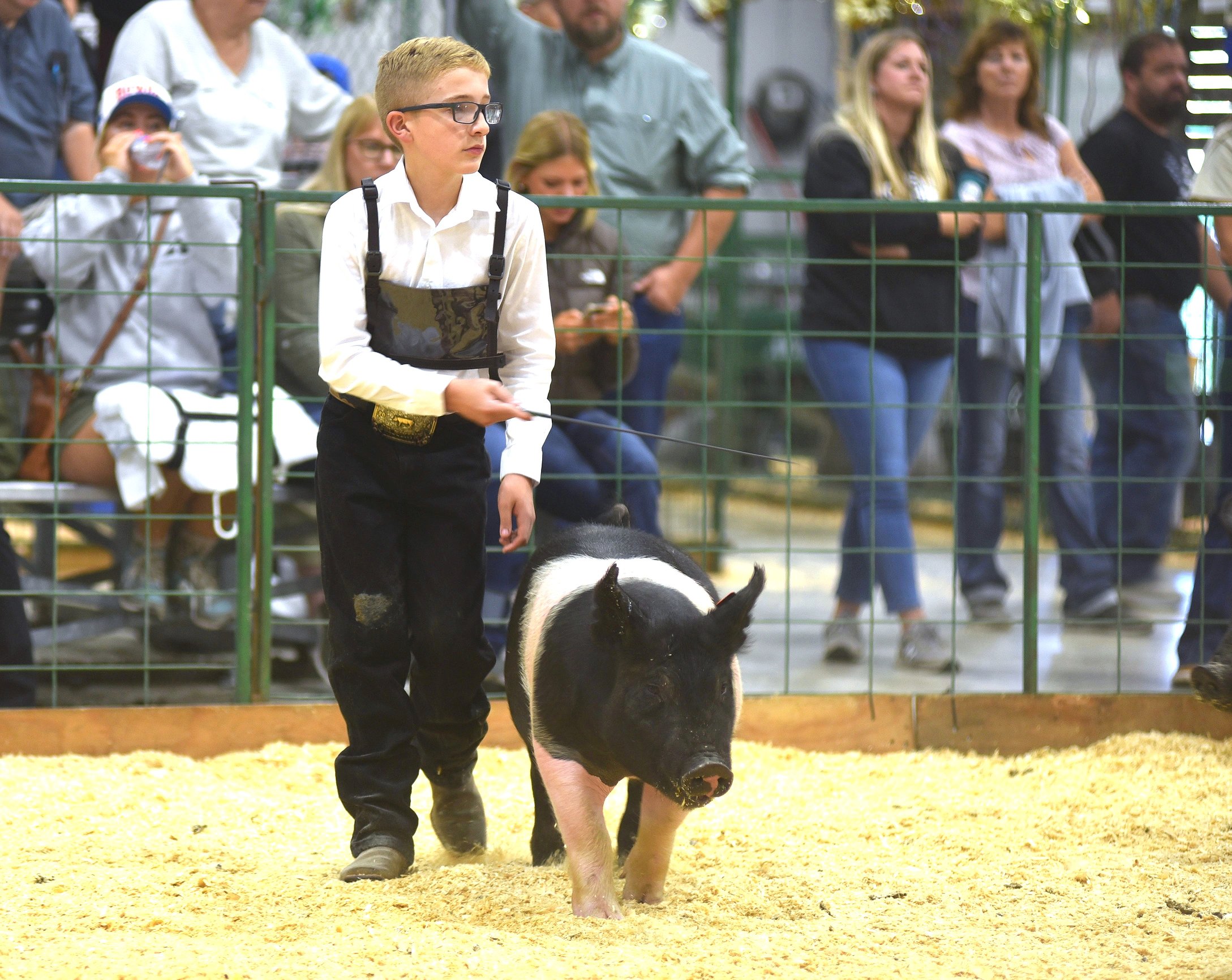 0812_fair_pigs_4.JPG.2177x1732_q85_box-0