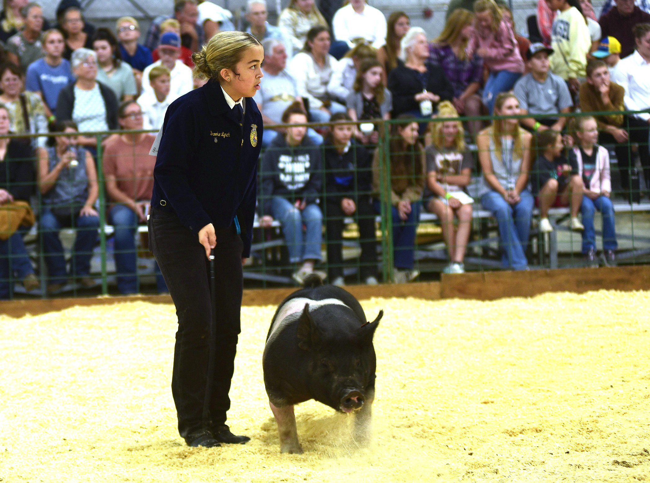 0812_fair_pigs_5.JPG.2095x1559_q85_box-0
